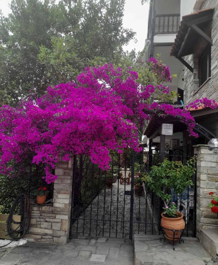 Papatzikos Traditional Guesthouse Неос-Мармарас Екстер'єр фото